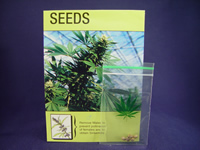 graines de cannabis